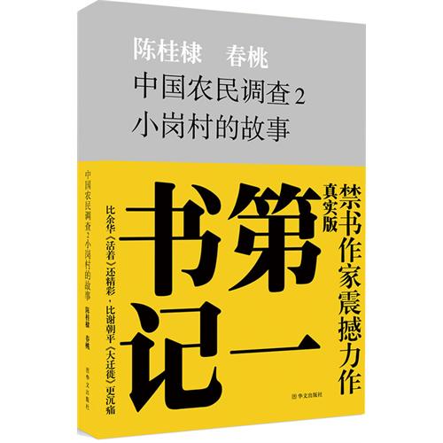 中国农民调查2—小岗村的故事